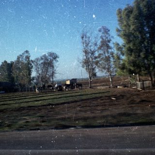 Rural roadside with open fields and trees.