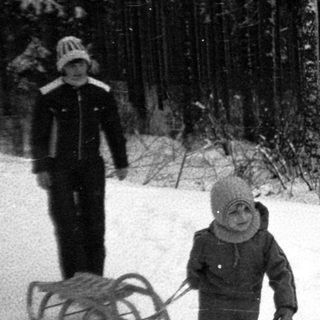 Winter forest scene with children sledding and playing in snow.