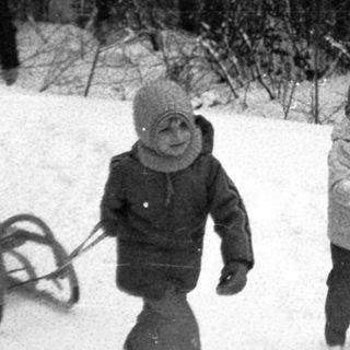 Winter forest scene with children sledding and playing in snow.