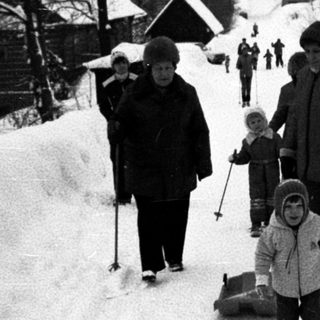 People skiing and sledding in snowy outdoor setting.