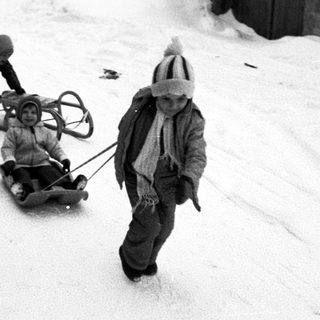 Children sledding down snowy hill with adult supervision.