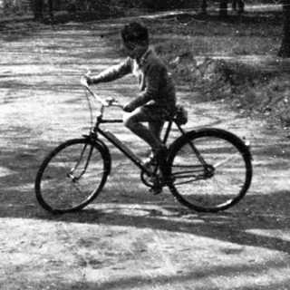 A person riding a bicycle on a quiet forest path.