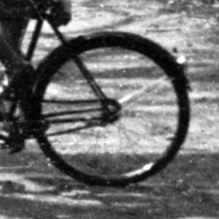 A person riding a bicycle on a quiet forest path.