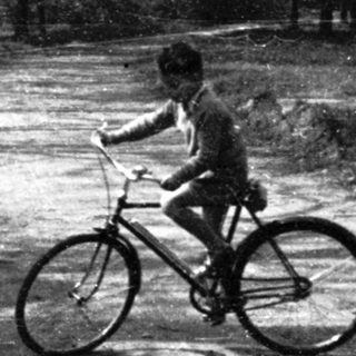A person riding a bicycle on a quiet forest path.