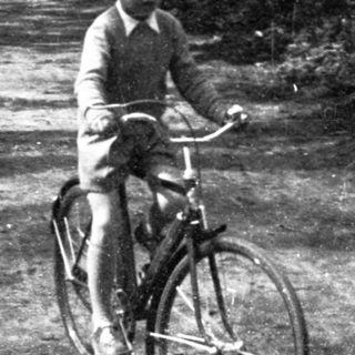 A person rides a bicycle on a quiet forest path.