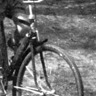 A person rides a bicycle on a quiet forest path.