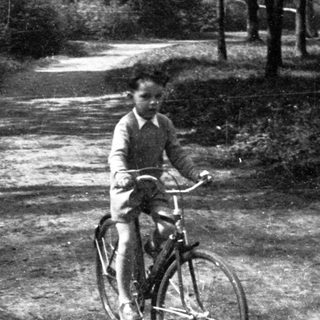 A person rides a bicycle on a quiet forest path.