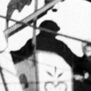 Ferris wheel gondolas with vintage heart symbols.