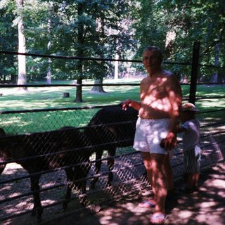 Woman feeding horse in fenced park area.