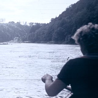 Person fishing on calm river near forested shore.