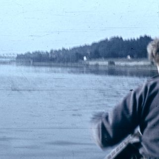 Person views lake with forested shoreline.