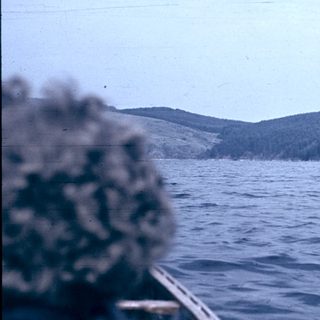 Scenic lake view with forested hills.