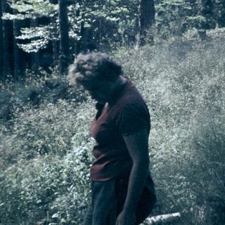Person standing in a dense forest.
