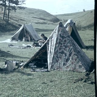 People camping outdoors with tents in grassy field.