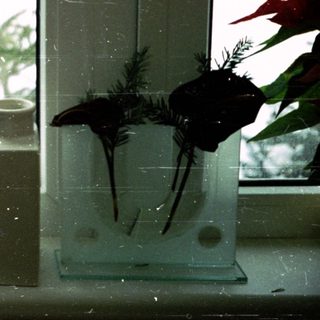 Vintage statue lamp beside winter window sill.