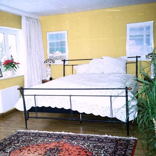 Cozy bedroom with twin beds, rug, plants, and yellow walls.