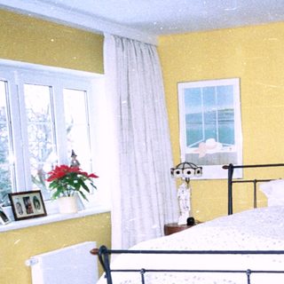 Cozy bedroom with twin beds, rug, plants, and yellow walls.