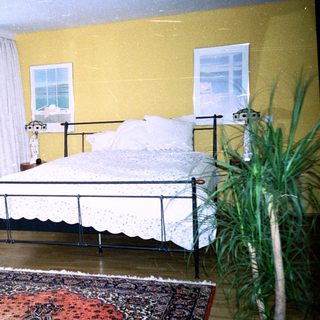 Cozy bedroom with twin beds, rug, plants, and yellow walls.