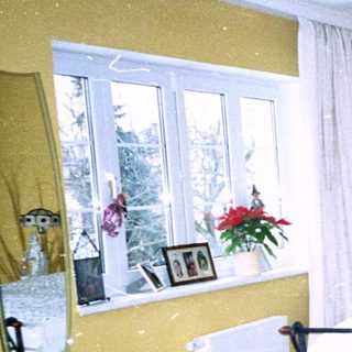 Cozy bedroom with twin beds, rug, plants, and yellow walls.