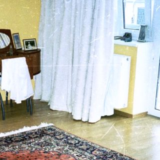 Mid-century bedroom with patterned rug, potted plant, desk, and balcony.