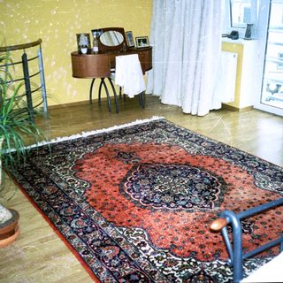 Mid-century bedroom with patterned rug, potted plant, desk, and balcony.
