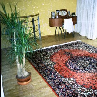 Mid-century bedroom with patterned rug, potted plant, desk, and balcony.