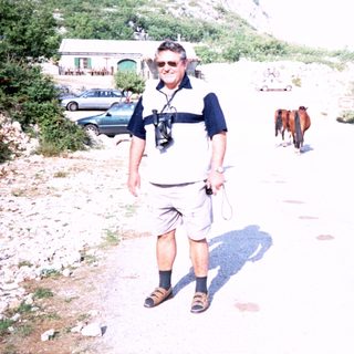 Man hiking outdoors with camera, near horses and mountains.