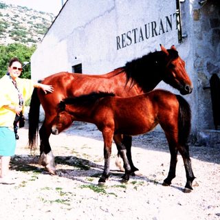 Person posing with horse near mountain restaurant.