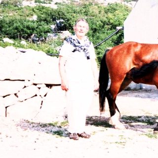 Rural restaurant with two horses and person.