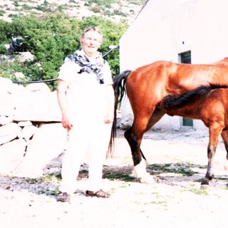 Rural restaurant with woman and three horses outside.