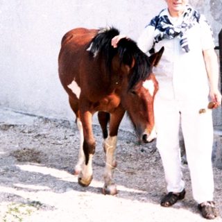 Man standing beside a horse outside a restaurant.