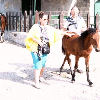 Rural stable with woman leading horse, another woman walking nearby.
