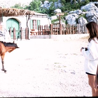 Rural setting with person leading young horse near rustic buildings.