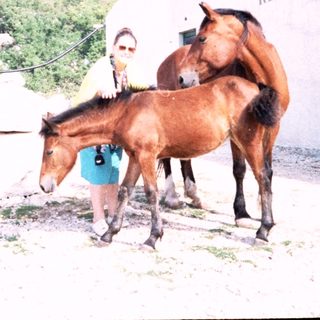 Person petting horses outside rustic restaurant.
