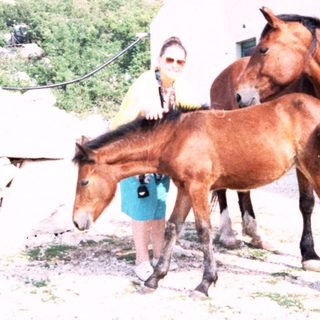 Person petting horses outside rustic restaurant.