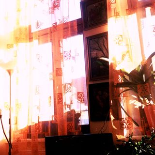 Sunlit room with patterned curtains, warm light, framed art, and indoor plants.