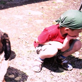 Large dog lying with children and adults nearby.