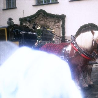 Horse-drawn carriage with passengers in winter setting.