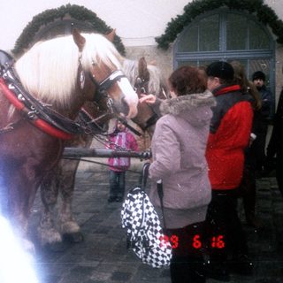 Horse-drawn carriage with passengers in winter setting.