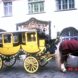 Elegant horse-drawn carriage with yellow and black trim.
