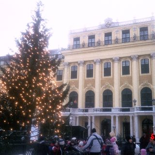 Christmas market with decorated tree and grand palace.