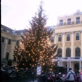 Christmas market with decorated tree and grand palace.