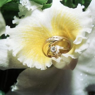 Elegant rings placed inside a blooming yellow and white flower.