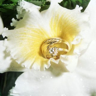 Elegant wedding rings nestled in a white and yellow flower.