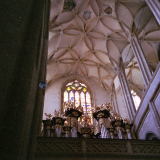 Gothic cathedral interior with ornate ceiling and stained glass.