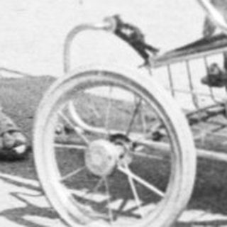 A woman pushes a baby stroller near water with a swan.