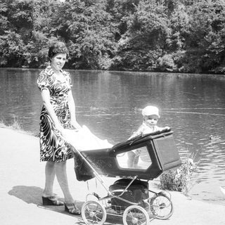 A woman pushes a baby stroller near water with a swan.