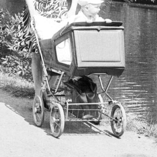 Woman pushing baby buggy by lake.