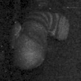 Blurry view of a person sitting on dark floor.