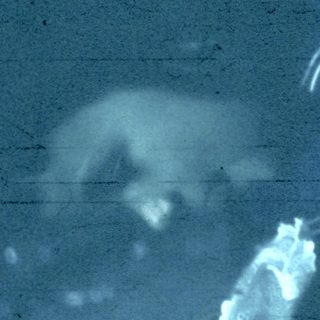 Blurred underwater scene with person holding white cloth.